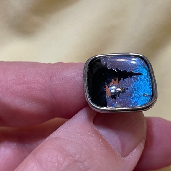 Vintage‎ 50's Butterfly Wing Blue Evergreen Sunset cuff links Party Wedding - Picture 5 of 7